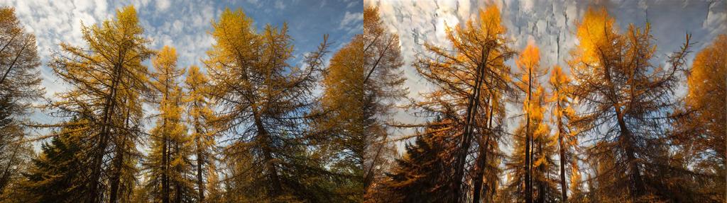 Output 11